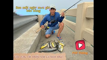 Câu cá chim biển sau một ngày mưa bão. Giật cá chim biển liên tục |Florida fishing|Pompano fishing.