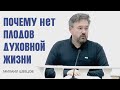 Михаил Швецов. Почему нет плодов духовной жизни