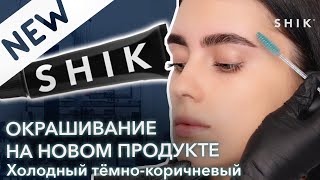 Окрашивание на новом продукте / Холодный темно-коричневый / SHIK screenshot 5