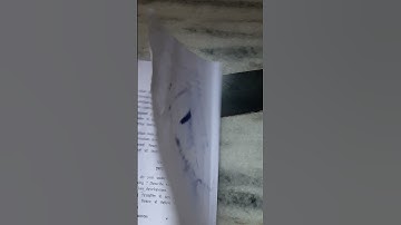 knowledge and curriculum cblu b.ed 2nd year 2023