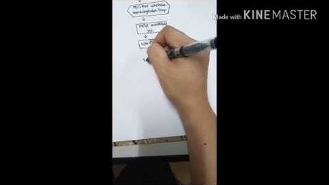 Laboratory Exercise 002