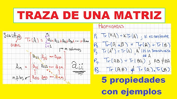 ✅ Traza de una matriz || 5 propiedades + ejemplos