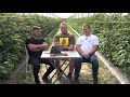 Berry Tech 2020 założenia projektu, pierwsze wnioski z obserwacji uprawy roślin jagodowych -ZWIASTUN
