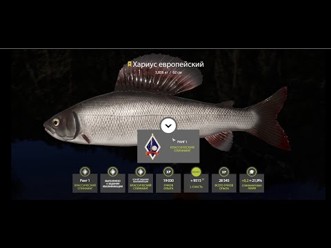 Русская рыбалка 4 | Река Белая | Прокачка уровня | Гайд для новичков