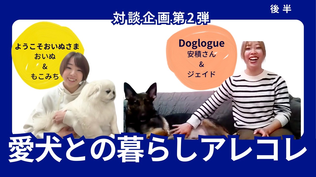 愛犬との暮らし あるあるぶっちゃけトーク【対談企画第2弾】【後半】