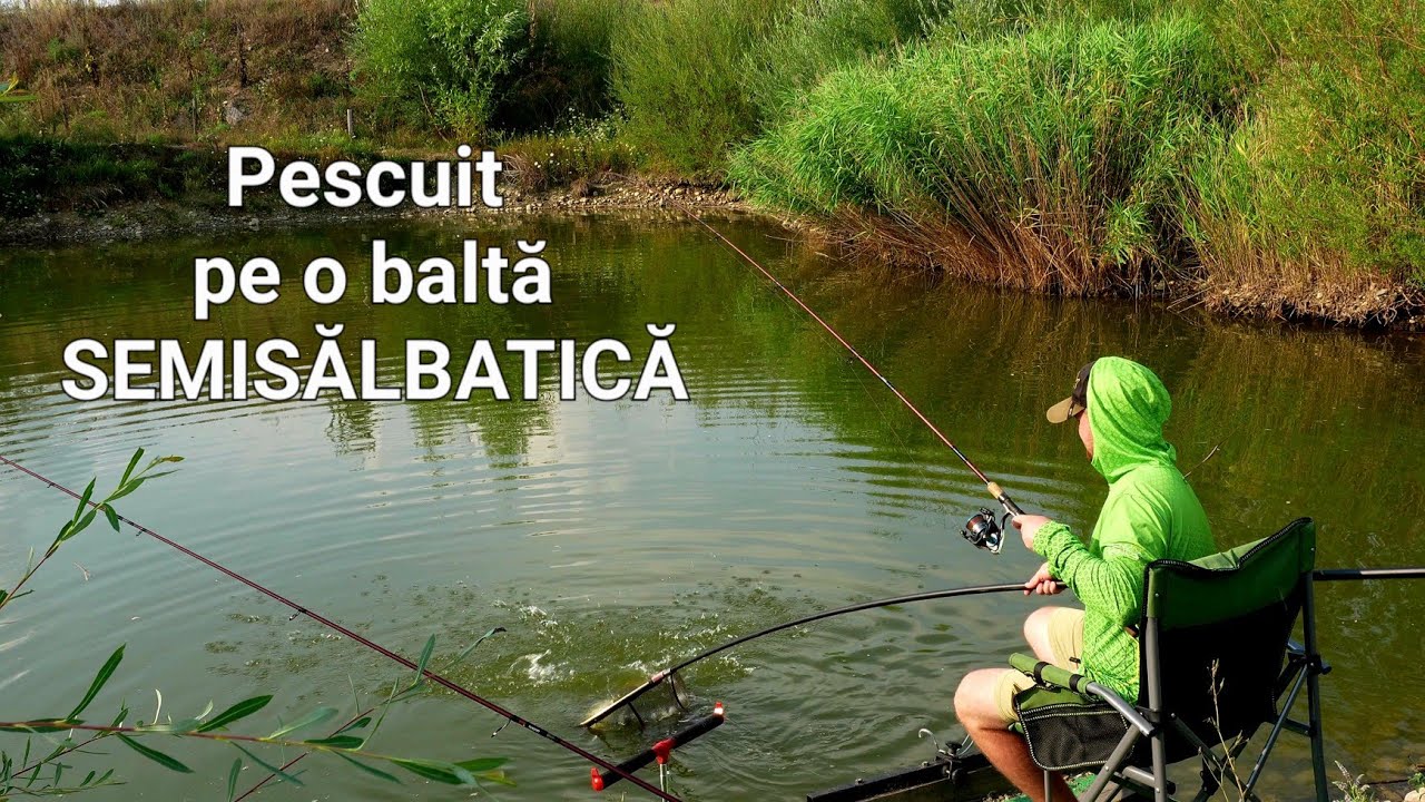Pescuit la Plută si Feeder pe o Baltă Superbă ! Ten , Crapi , Carași si bibănei 🎣 #fishing 🐟