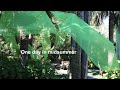 真夏の休日〈4K〉江島神社と深夜のお寺