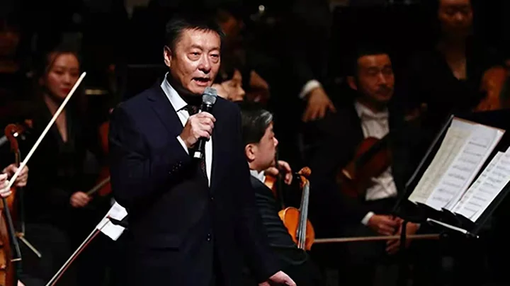 Li Nan, President of the China Philharmonic Orchestra, wins the Lifetime Achievement Award! - DayDayNews