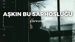 Canozan ft. Deniz Tekin - Aşkın Bu Sarhoşluğu Resimi