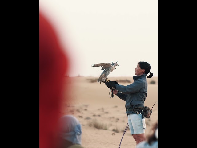 One&Only The Palm, Dubai Desert Experience