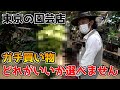 【東京の園芸店にカーメン君出没】珍しい品種が多すぎて選べません【プロトリーフガーデンアイランド玉川店】【カーメン君】【園芸】【ガーデニング】【初心者】