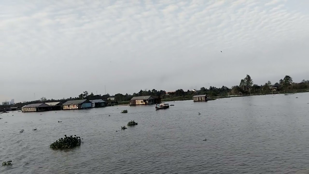 Phong cảnh miền tây sông nước hôm nay trời buổi sáng rất là đẹp 