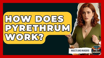 How Does Pyrethrum Work? - Insects and Invaders