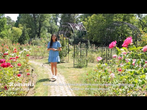 Video: Grădina botanică din Atlanta: Ghidul complet