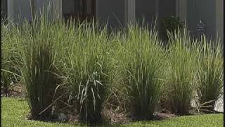 LEED Certified Homes Part 2