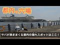 冬釣りならここ!ダイソー釣具でアジ、サバが釣れまくる都内近郊の意外な釣りスポットはここ!