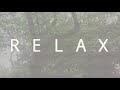 Digital Whispering Leaves: 10-Hour Computer-Composed Relaxation Wave