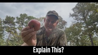 Attention Deer Hunters! 