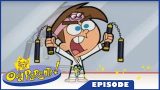 The Fairly OddParents  Kung Timmy / Which Witch is Which  Ep.35