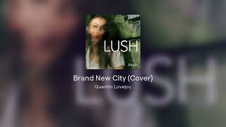 Brand New City by Mitski - A Cover by Quentin Lovejoy
