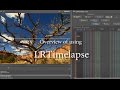 Workflow of using LRTimelapse with Adobe Lightroom