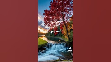قرآن كريم بصوت عبد الرحمان السديس #اكسبلور #duet #تيك_توك #nature #لايك