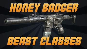 Call of Duty: Ghosts - BEAST CLASSES - HONEY BADGER AR VERSATILE CLASS