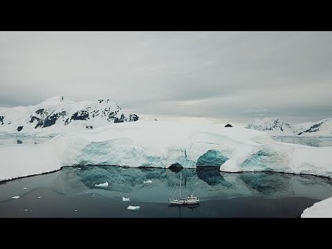 Кампания за сохранение Антарктики