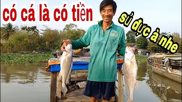 Với Cái Lạnh Thấu Xương Vào Buổi Sáng Sông Tiền Mừng Khó Tả Khi Dính Được Cá # SĂN BẮT ĐỒNG THÁP #