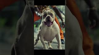 My Side Video All Platforms Youtube Subscribe Therealpit