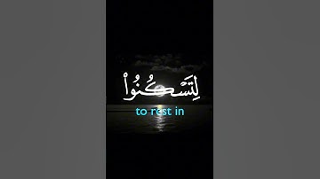 الشيخ محمد رفعت. تلاوة رائعة