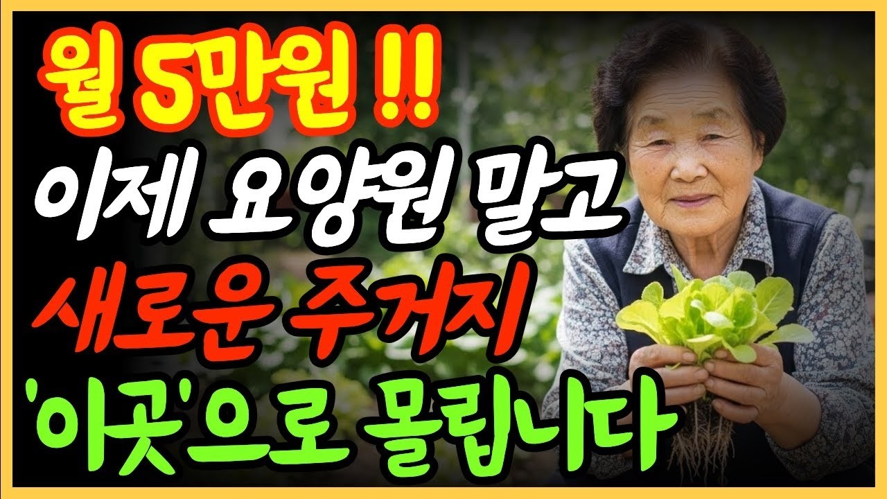 월 5만 원, 요양원 말고 사람들이 몰리는 새로운 주거지