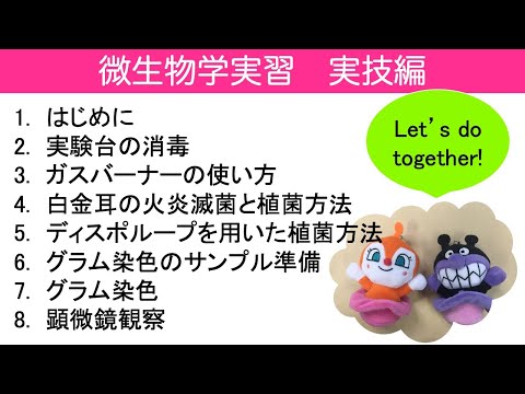 微生物学実習　動画　実技編  フルバージョン