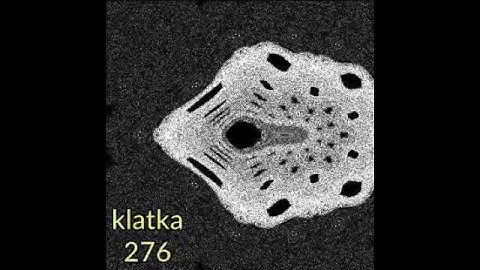 Henon Attractor Zoom (#22)