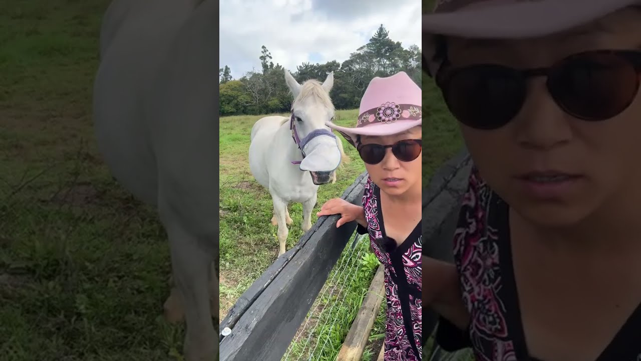 阳光新西兰NZ Shine Vlog is live