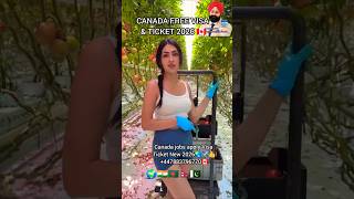 Canada Food Packing Jobs 2026 🇨🇦 No IELTS | Direct Selection by Sardar Jagmohan Singh | #ytshorts