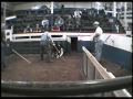 The Auction Block