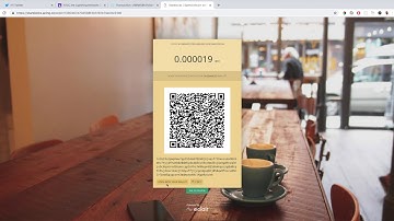 Zap Desktop 0.3.0 - Making A Payment