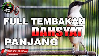 CENDET GACOR FULL ISIAN FULL TEMBAKAN DAHSYAT PANJANG JERNIH COCOK UNTUK PANCINGAN & MASTERAN PENTET