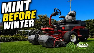 TifTuf vs Santa Ana Couch Winter Prep Update | Grooming & Reel Mowing Results
