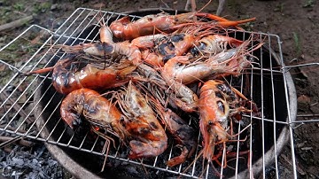 GIA ĐÌNH MIỀN TÂY • Bắt Tôm Càng Xanh Nướng Ăn Tại Chỗ