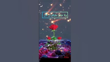 #قران_كريم #قرآن #قرآن_كريم  #سورة_النساء :  ۗ وَدَّ الَّذِينَ كَفَرُوا لَوْ تَغْفُلُونَ عَنْ