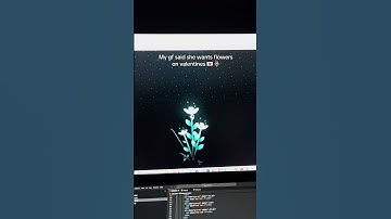 If you want this kind of flower, try dating a programmer. 😅💻 #shorts #valentinesday #programming