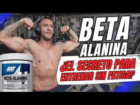 ❌¡NO TOMES BETA-ALANINA