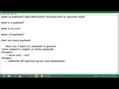 types of payloads