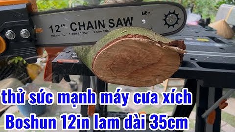 Thử sức mạnh máy cưa xích BOSHUN 12in lam Dài 35cm dùng pin chính hãng lõi đồng không chổi than