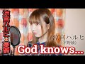 God knows... / 涼宮ハルヒ (平野綾)【涼宮ハルヒの憂鬱】 cover by Seira