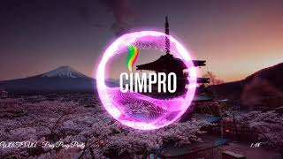 Wateva - Ping Pong Party Cimpro Release