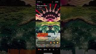 Mr. Wilson Words Mean Nothing