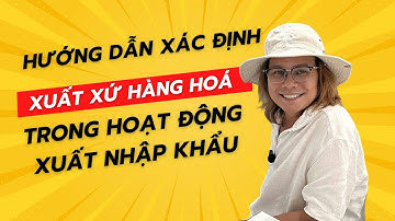 Hướng Dẫn xác định xuất xứ hàng hoá trong hoạt động xuất nhập khẩu